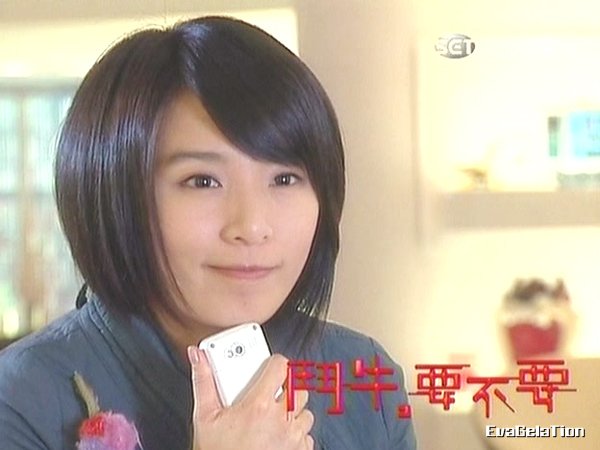 斗牛,要不要