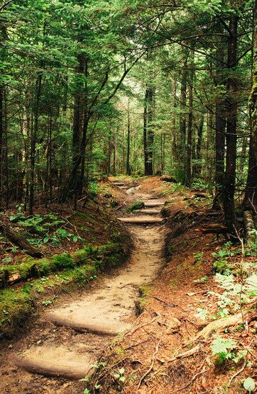 appalachian national scenic trail