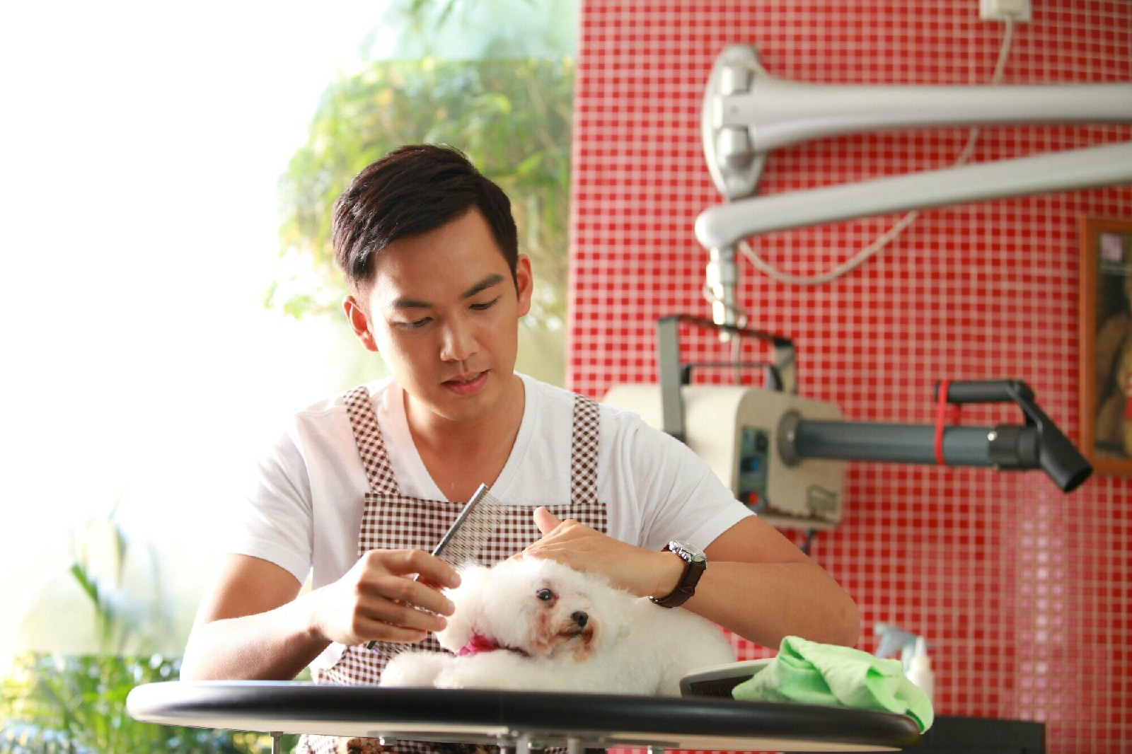  p>钟汉良(wallace chung),1974年11月30日出生于 a target="_blank"