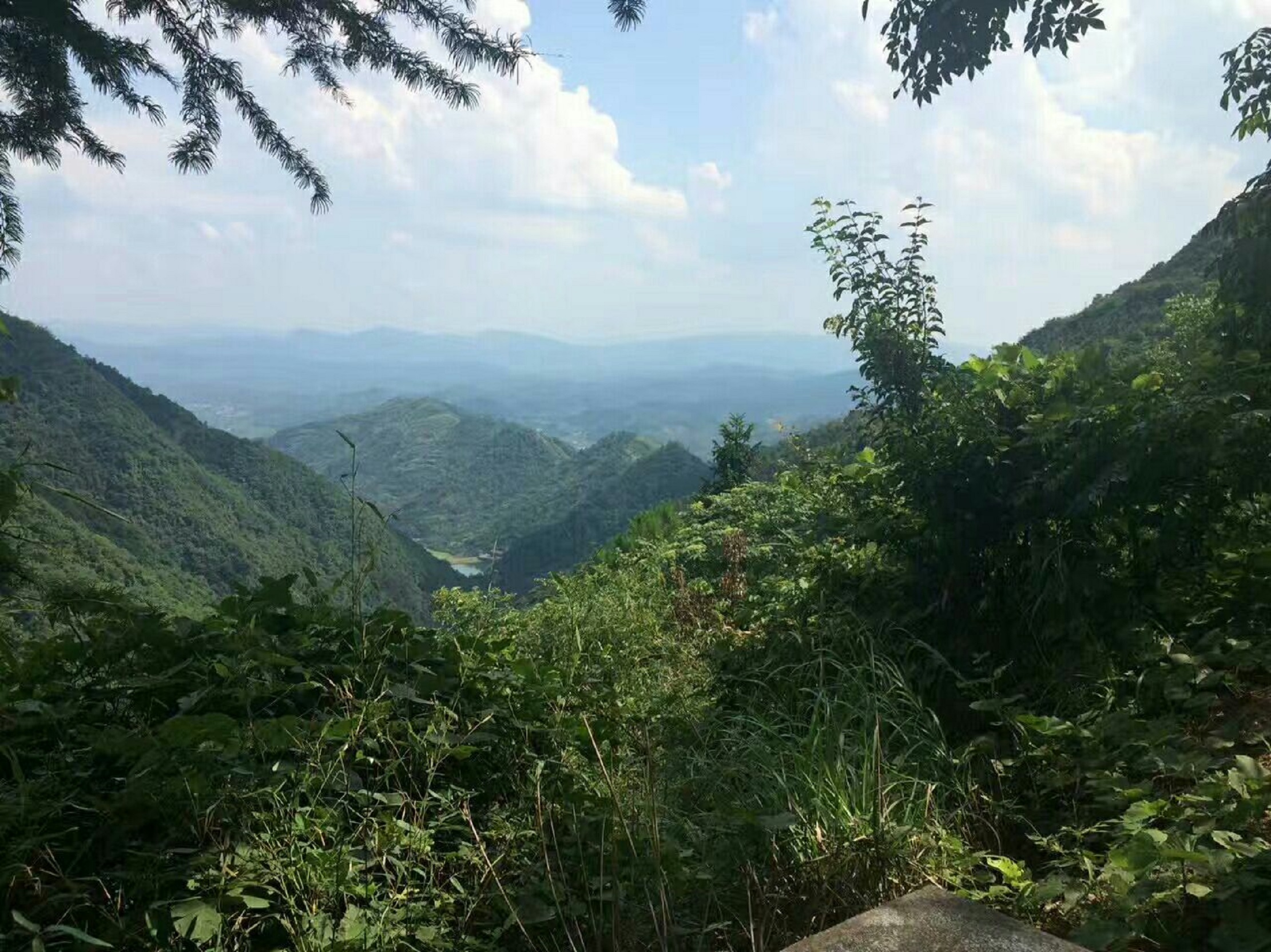 东天目山景区