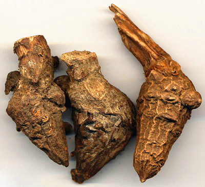  p data-id="gnbqbwzf1f">川乌,中药名.