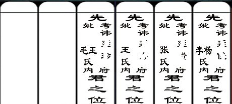 家谱轴子
