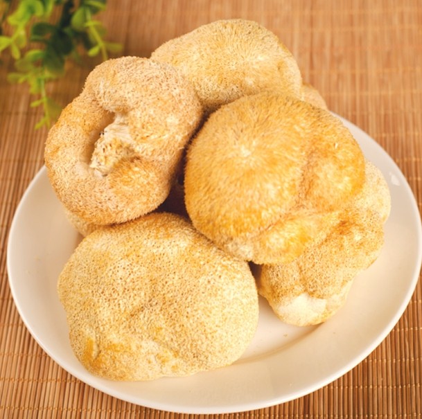  p>太阳神猴头菇全名为太阳神 a href="#" data-lemmaid="8478145">