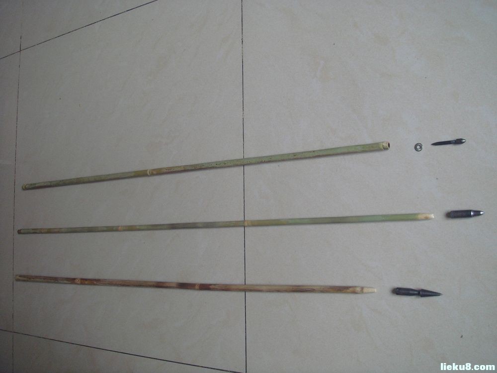  p>箭竹(fargesia spathacea franch)是禾本科,箭竹属竹类植物.