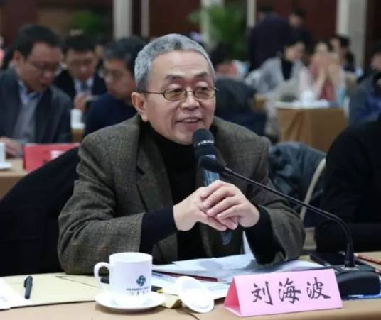 刘海波（中国科学院科技政策与管理科学研究所研究员）_百度百科