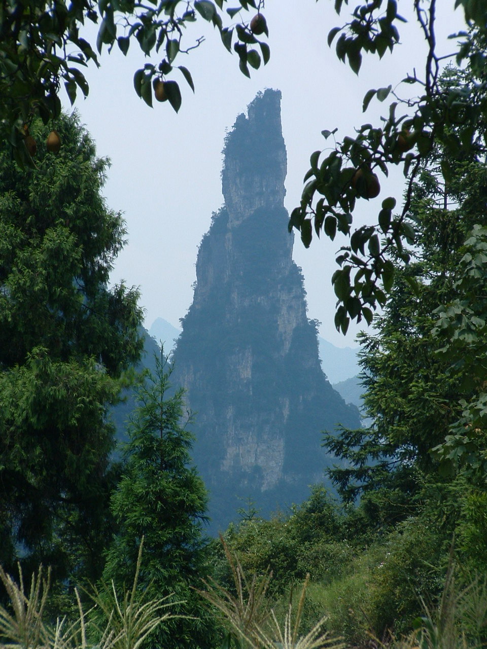 黄莲乡