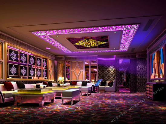 揭阳特美思酒店