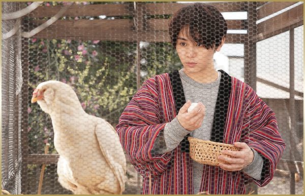 隐匿于冬~解决我家一大事