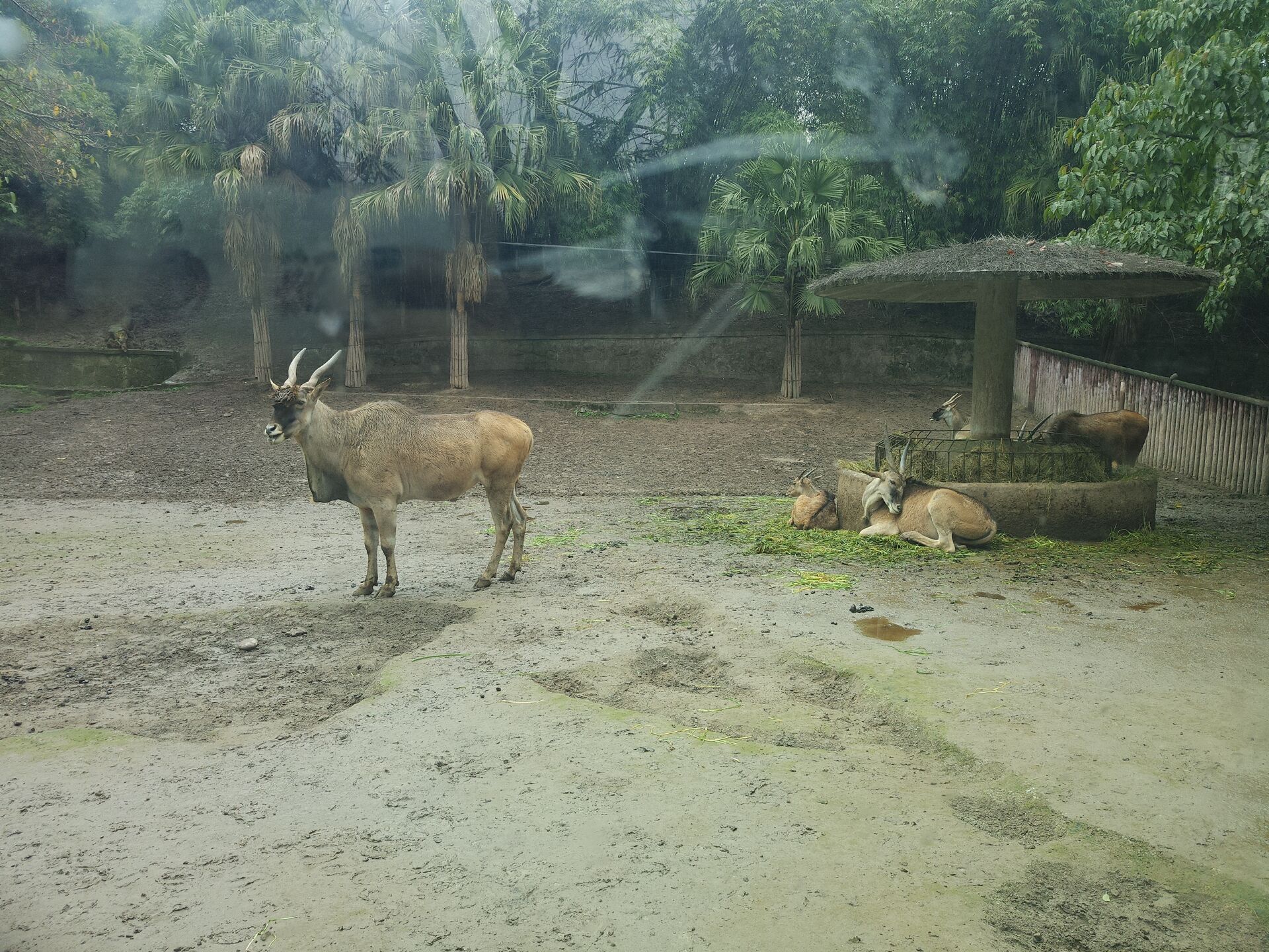  p>重庆动物园(chongqing zoo),原名西区公园,位于重庆市 a target="