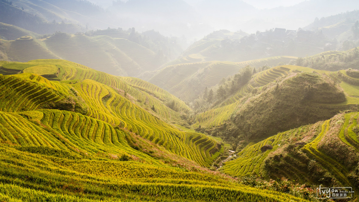 广西龙胜梯田