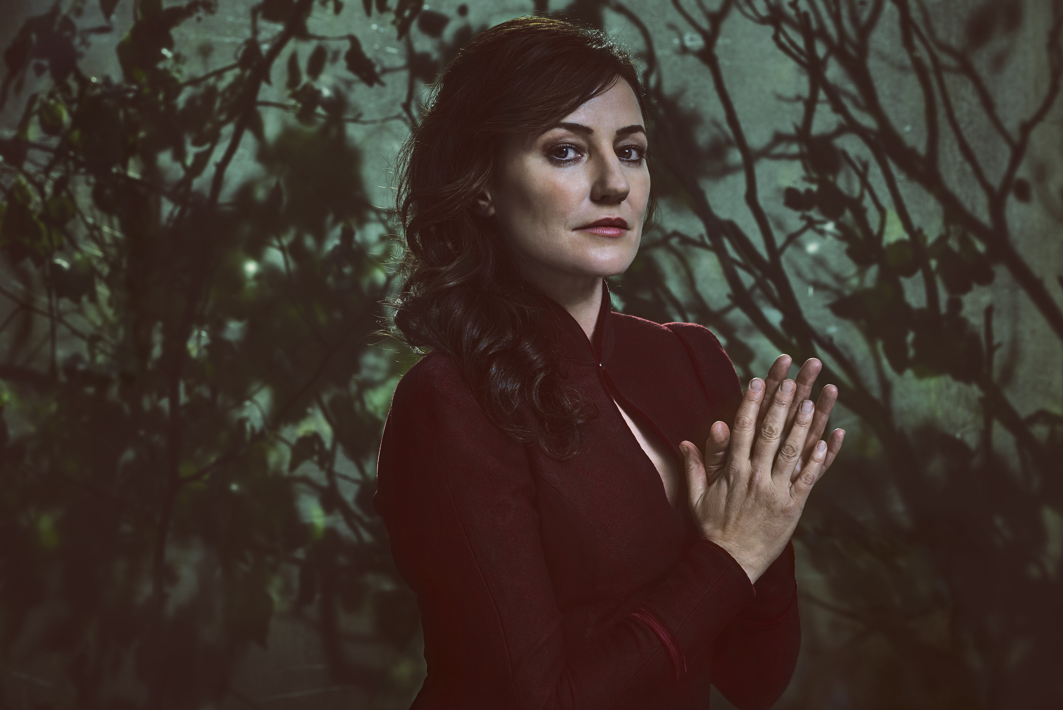 >冯德伦 /a>联合执导, a href="#" data-lemmaid="182990">吴彦祖 /a>