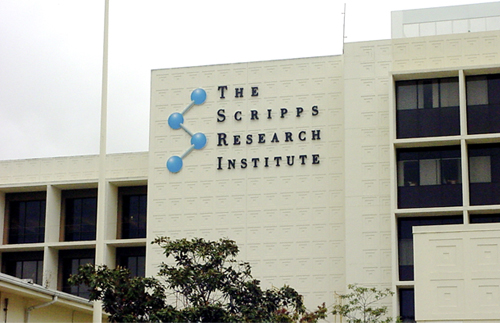 the scripps research institute
