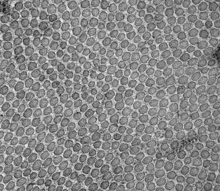 s-}e}tin}i of finer }l]一切片机或刀片按纤维轴垂直一方向切断纤维