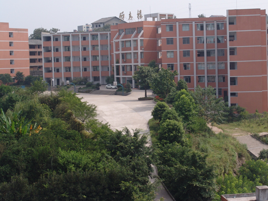  p>四川省邻水金鼎实验学校于2003年9月1日正式成立并开学.
