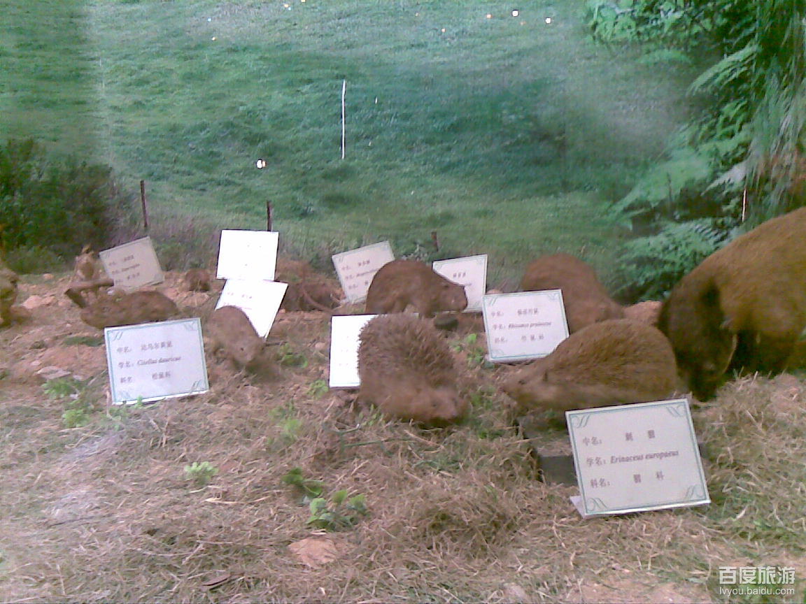 动植物标本馆