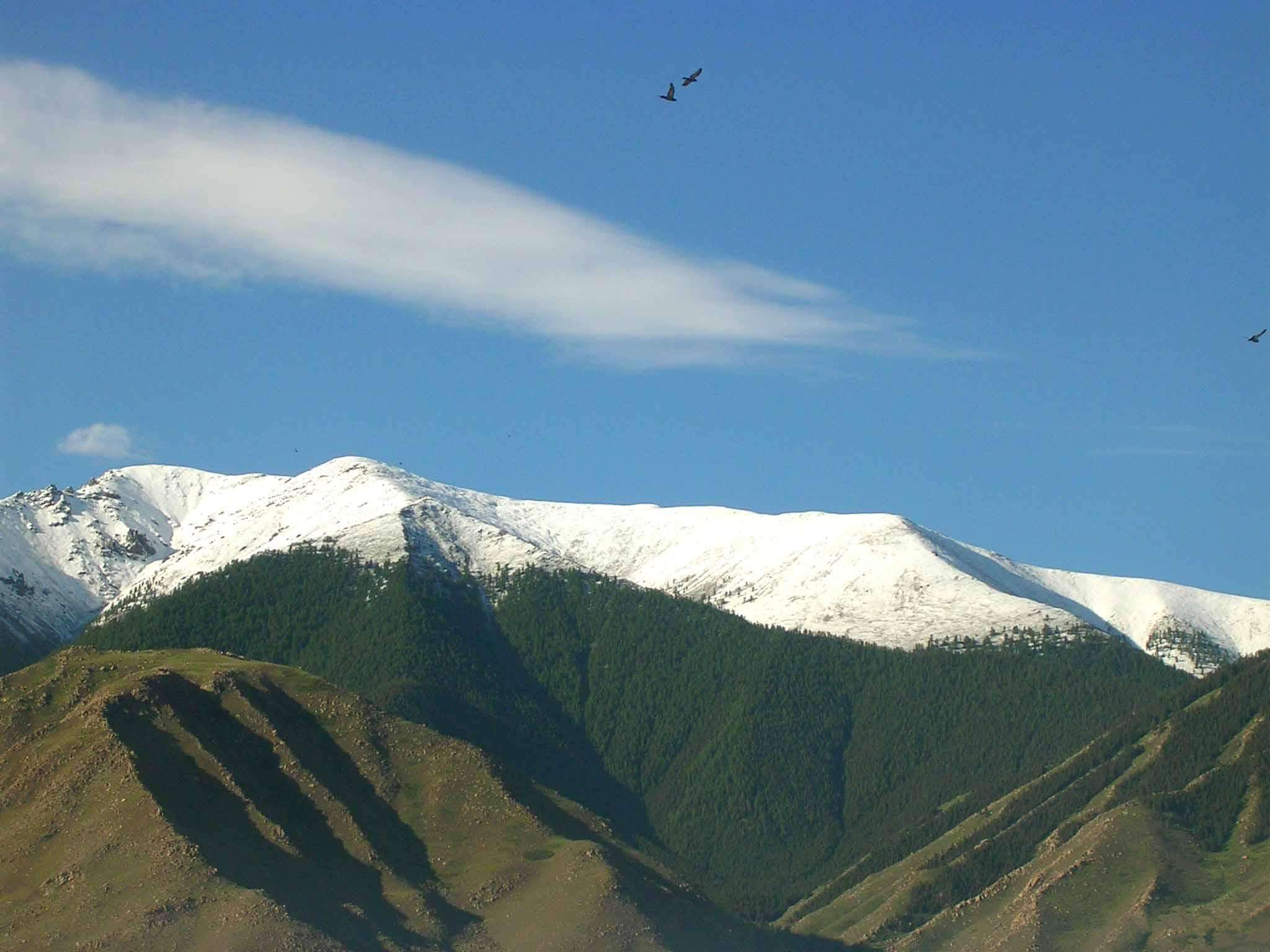 新疆白石头旅游区
