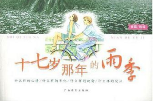 十七岁那年的雨季