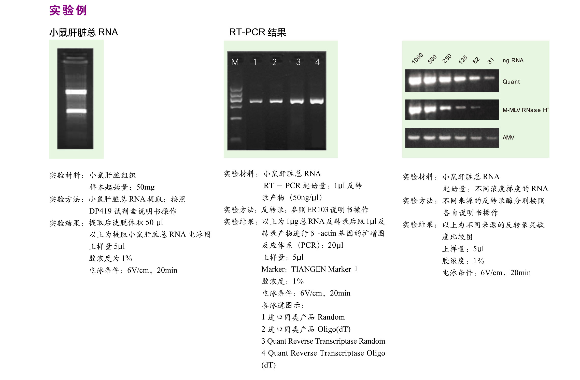 ="#" data-lemmaid="10186149">成千上万 /a>个est(express sequenced