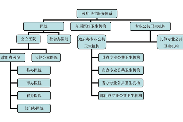 国务院办公厅关于印发全国医疗卫生服务体系规划纲要(2015—2020年)