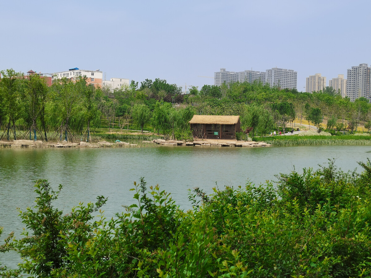  p data-id="gnyxxvuzbf">西流湖生态公园(北区)位于陇海铁路以北