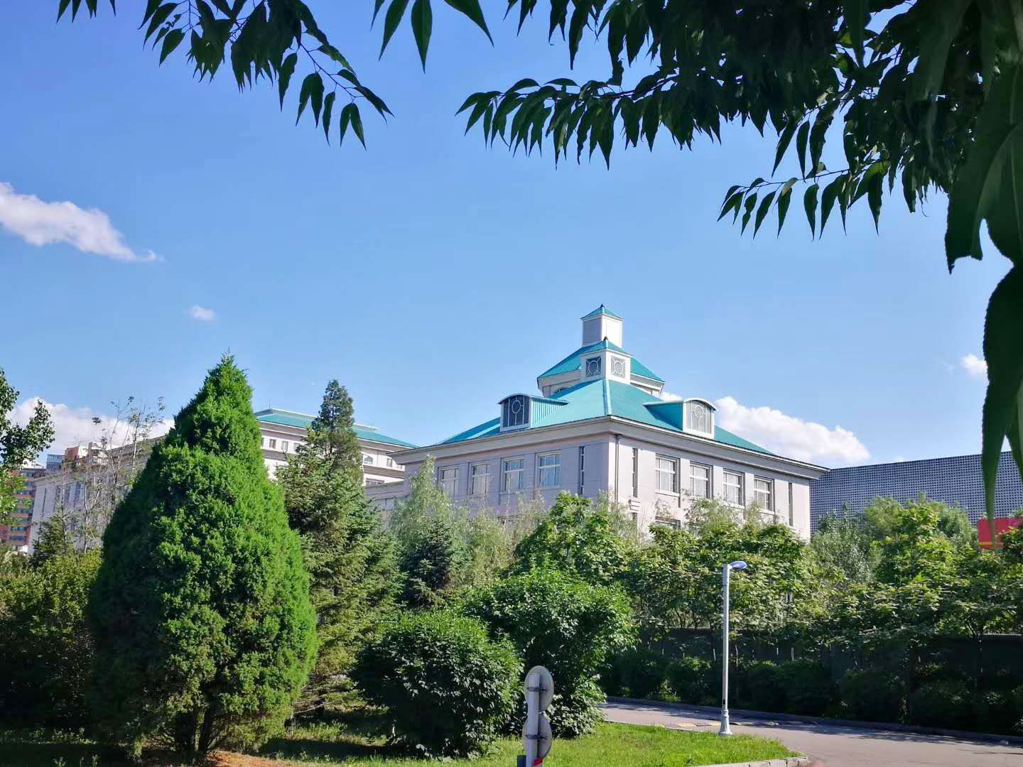  p> b>沈阳大学 /b>( i>shenyang university /i>)简称"沈大",坐落在