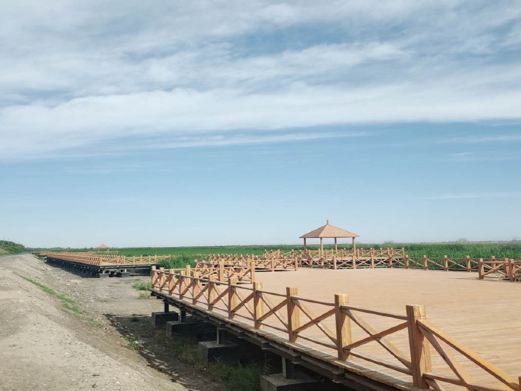 湿地公园位于喀什地区伊什库力乡与吾达力克乡相交处,距莎车县城9公里