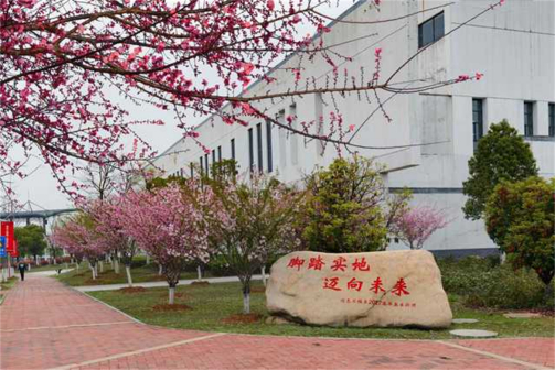 合肥工业大学宣城校区风光