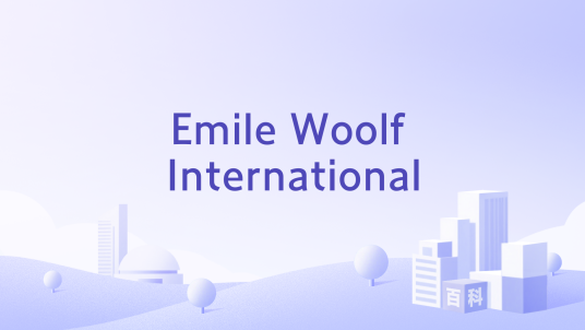Emile Woolf International_百度百科