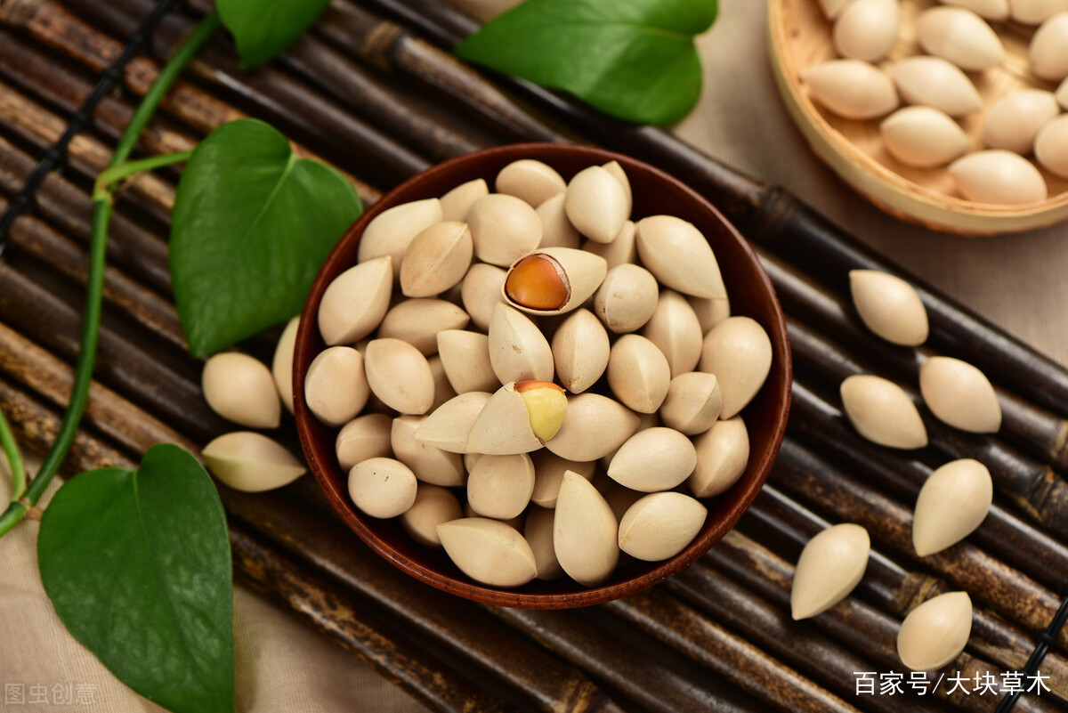 银杏树为什么有的结果，有的不结果？你知道这其中的奥秘吗~_百科TA说