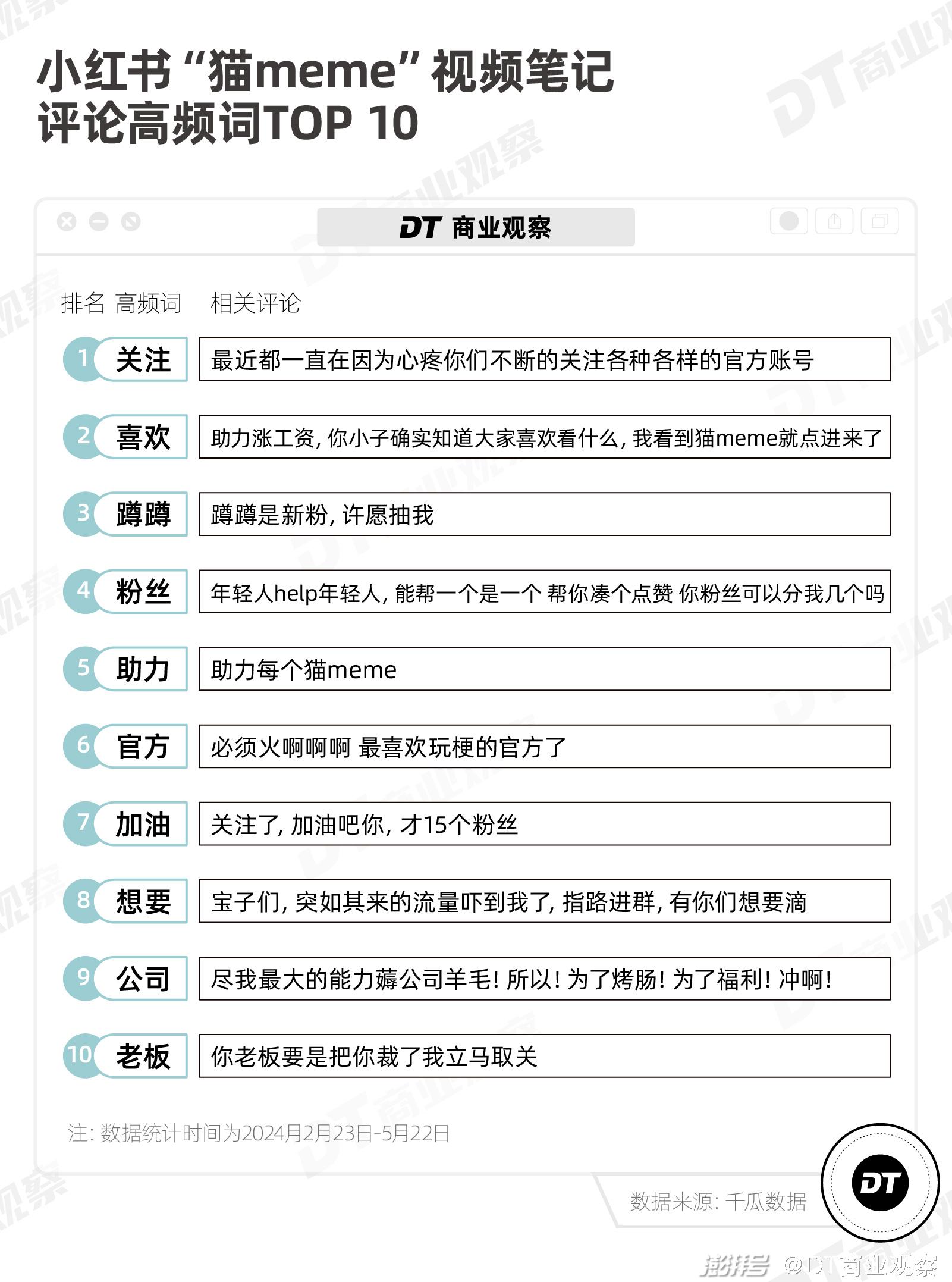一周涨粉10万，猫meme怎么就火了？_百科TA说