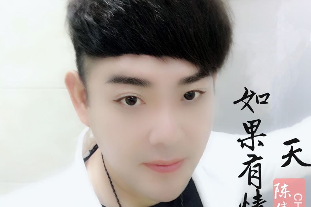  p data-id="go09pqzq6i">陈伟,国内音乐人,音乐制作人,作曲家,作词家