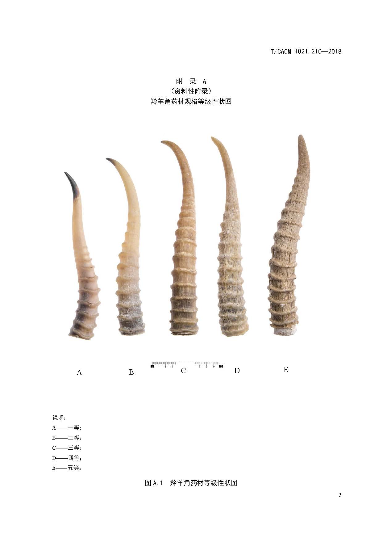  p>《中药材商品规格等级—羚羊角》(t/cacm 1021.