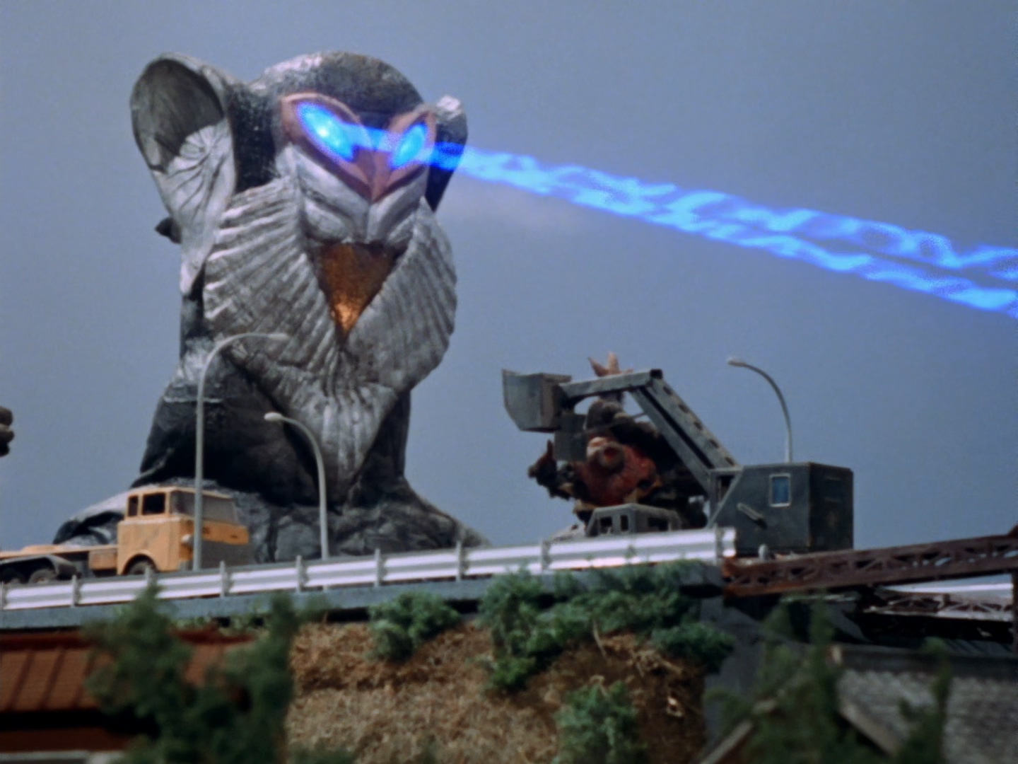 美菲拉斯星人第二代