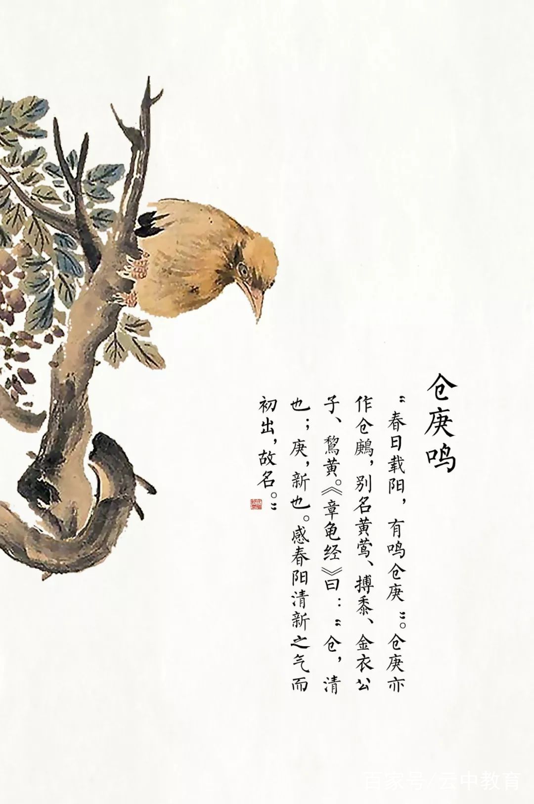惊蛰 聆听万物苏醒的声音 百科ta说