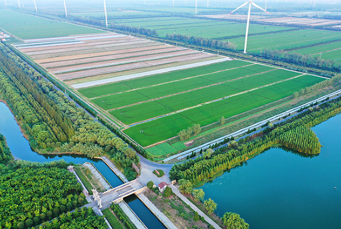 3">东台永丰林农业生态园是国家aaa级旅游景区和全国农业旅游示范点