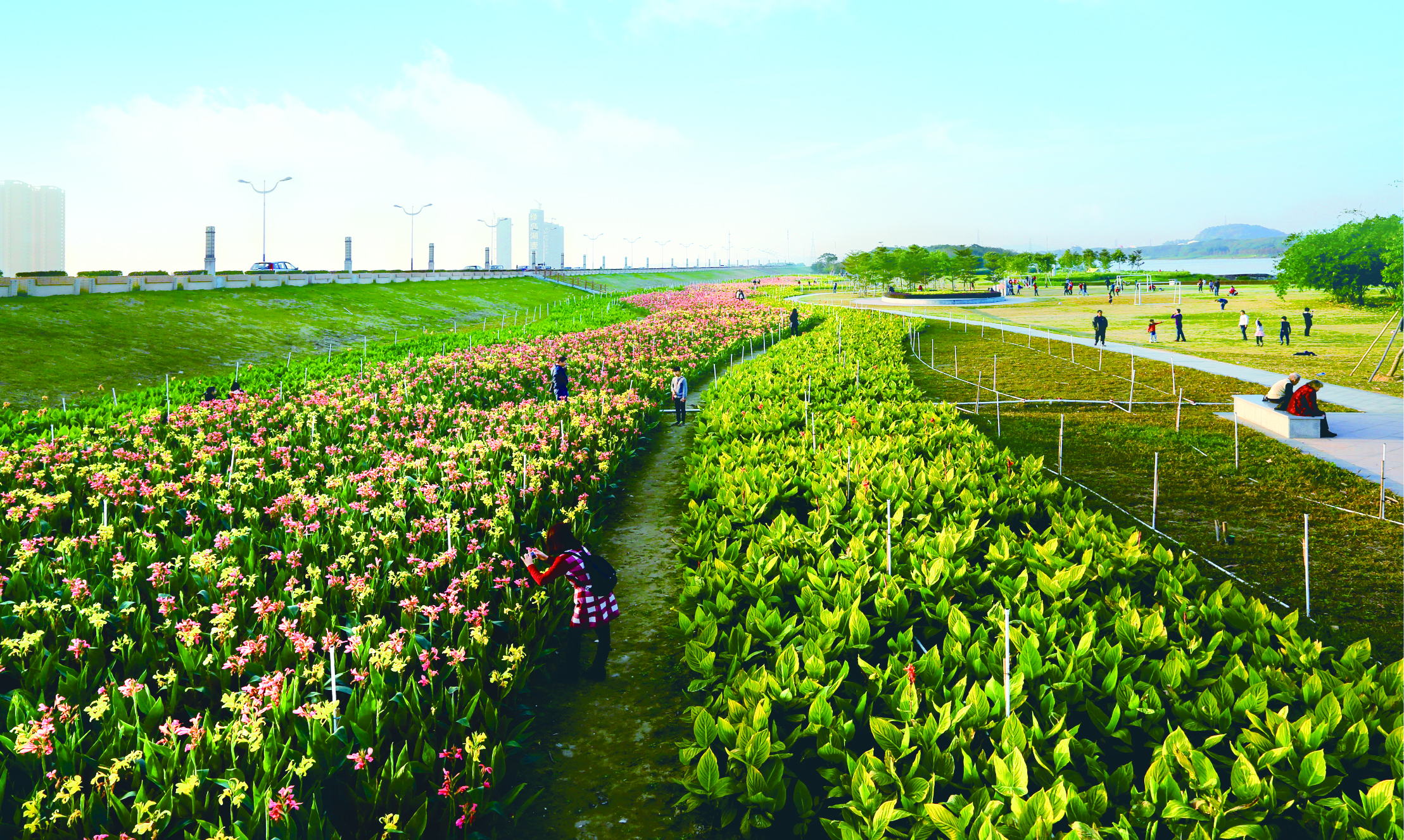 湖(绿岛湖片区)地处 a target="_blank" href="/item/佛山市/436251"