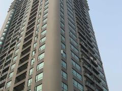 惠园大公馆