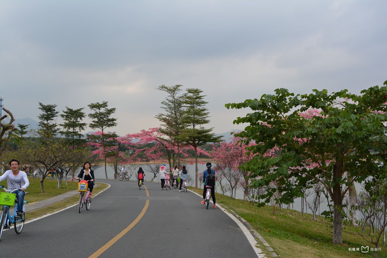 东莞松山湖