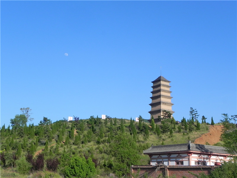 4n6gg">仙游寺位于 a target="_blank" href="/item/周至县/1000617"