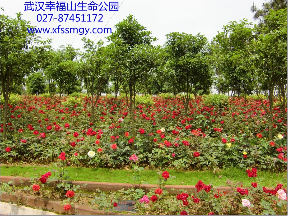 武汉幸福山生命公园