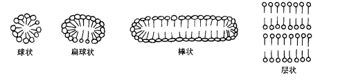 离子型胶束_百度百科
