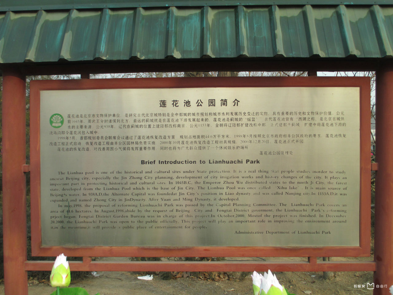 丰台区莲花池公园