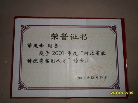 解凤岭