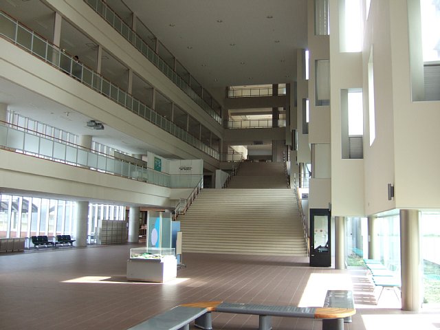 金泽大学