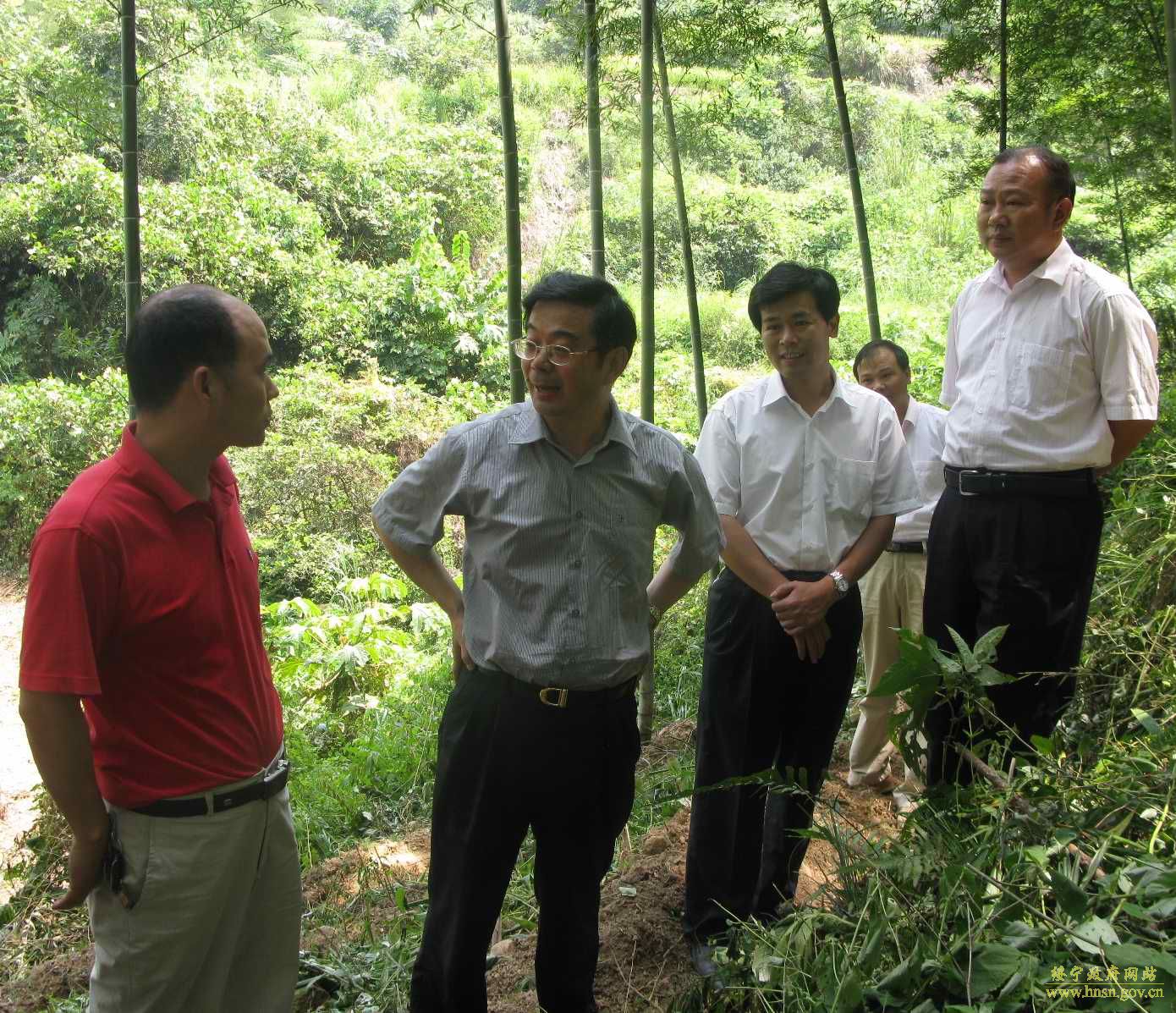 管公镇