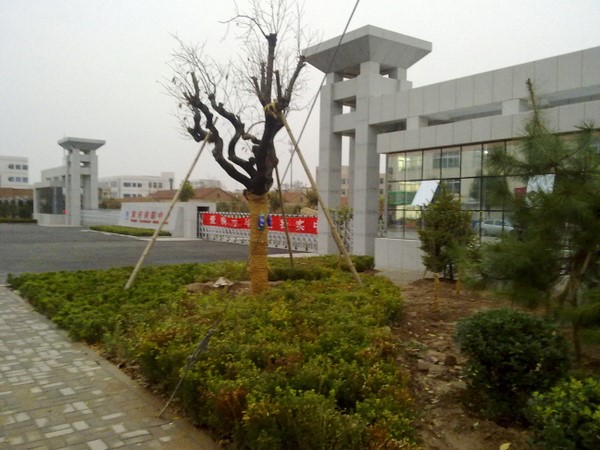  p data-id="gnhdtztfmd">商河实验中学是一所县属初级中学.