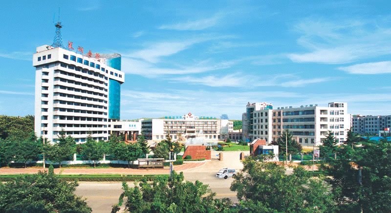  p>莱芜钢铁集团有限公司(简称莱钢集团)始建于1970年1月,是拥有总