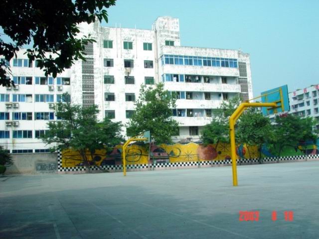 四川省绵阳市第二中学