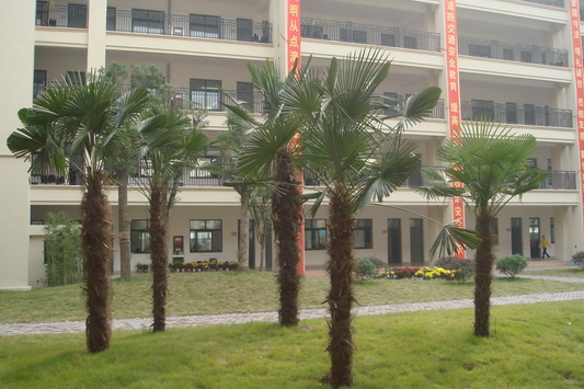 合肥市新城学校