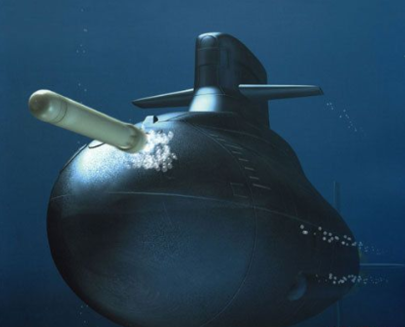 不过,一种先进的潜射高速智能鱼雷,最近成功完成了打靶试验,并将跟着